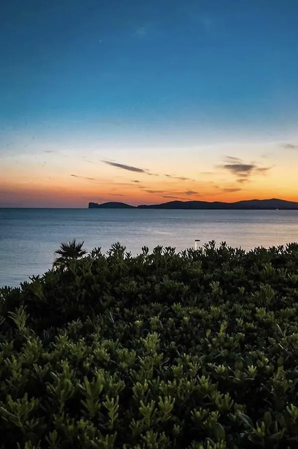 H24 Vacanze Apartment Villanova Monteleone